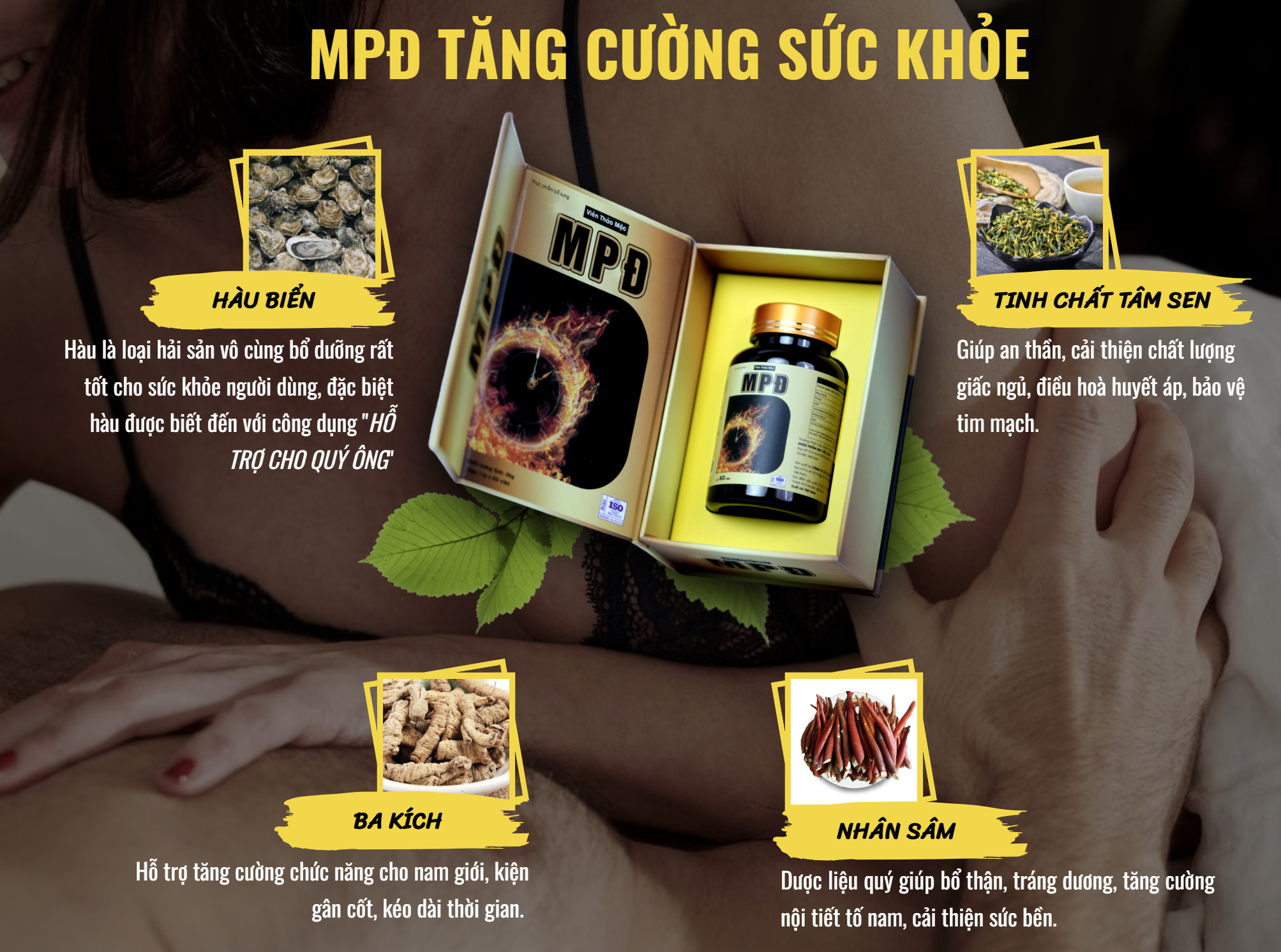 Thành phần dưỡng chất trong viên uống Mã Phục Đan